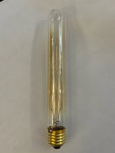 40w ES Filament Tube 22cm